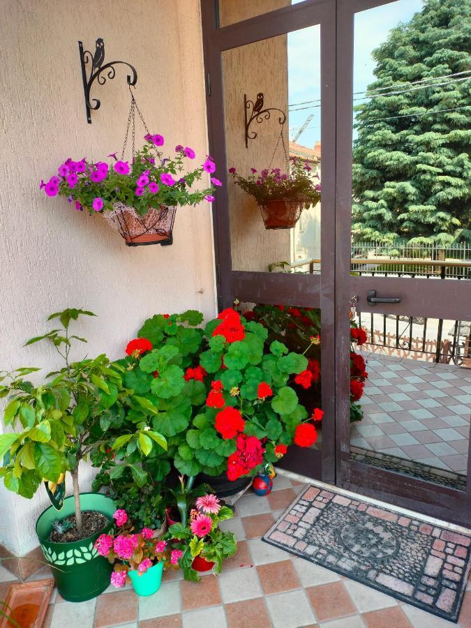 B&B Da Natallia Ronco all'Adige ภายนอก รูปภาพ